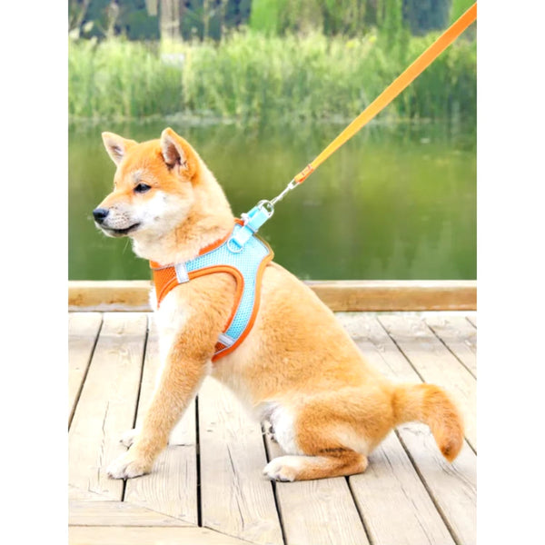 Adjustable Dog Harness & Leash Set - Comfortable Vest for All Dog Sizes