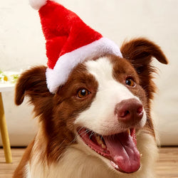 Christmas Dog Hat - Plush Santa Cap for Small & Medium Dogs