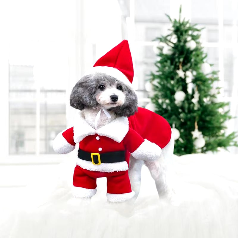 Funny Dog Santa Costume - Christmas & New Year Pet Cosplay Clothes