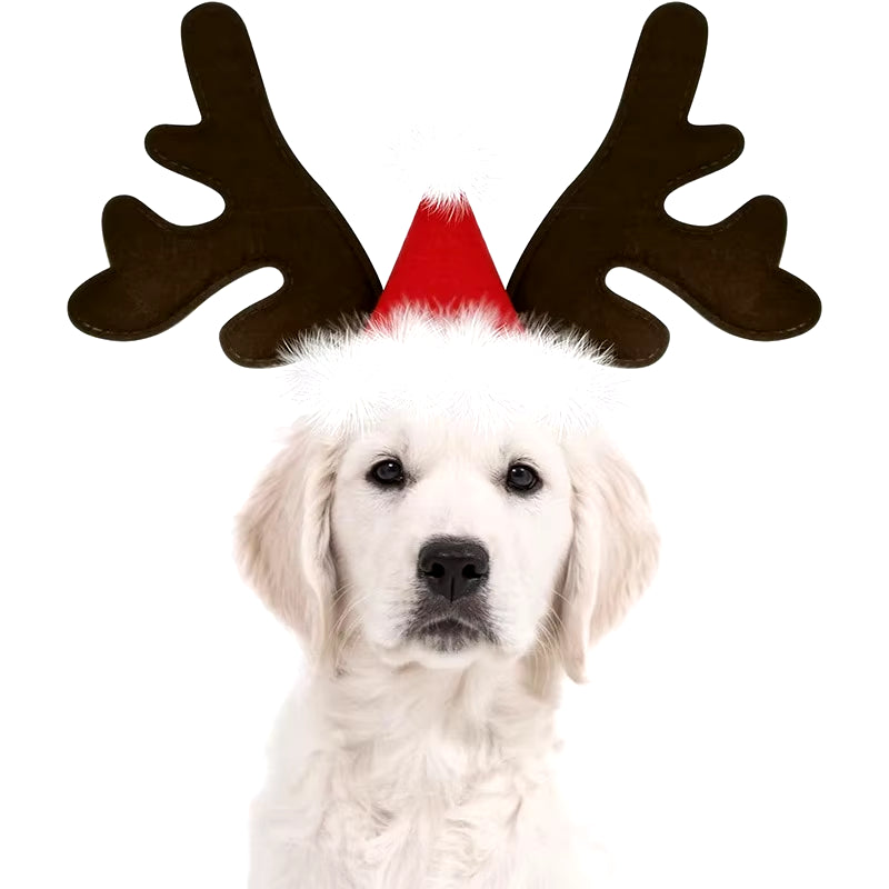 Christmas Dog Costume - Reindeer Antlers & Santa Hat Headband